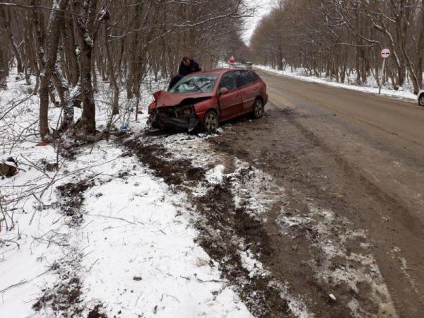 На Ставрополье иномарка влетела в придорожное дерево, пострадал пожилой мужчина